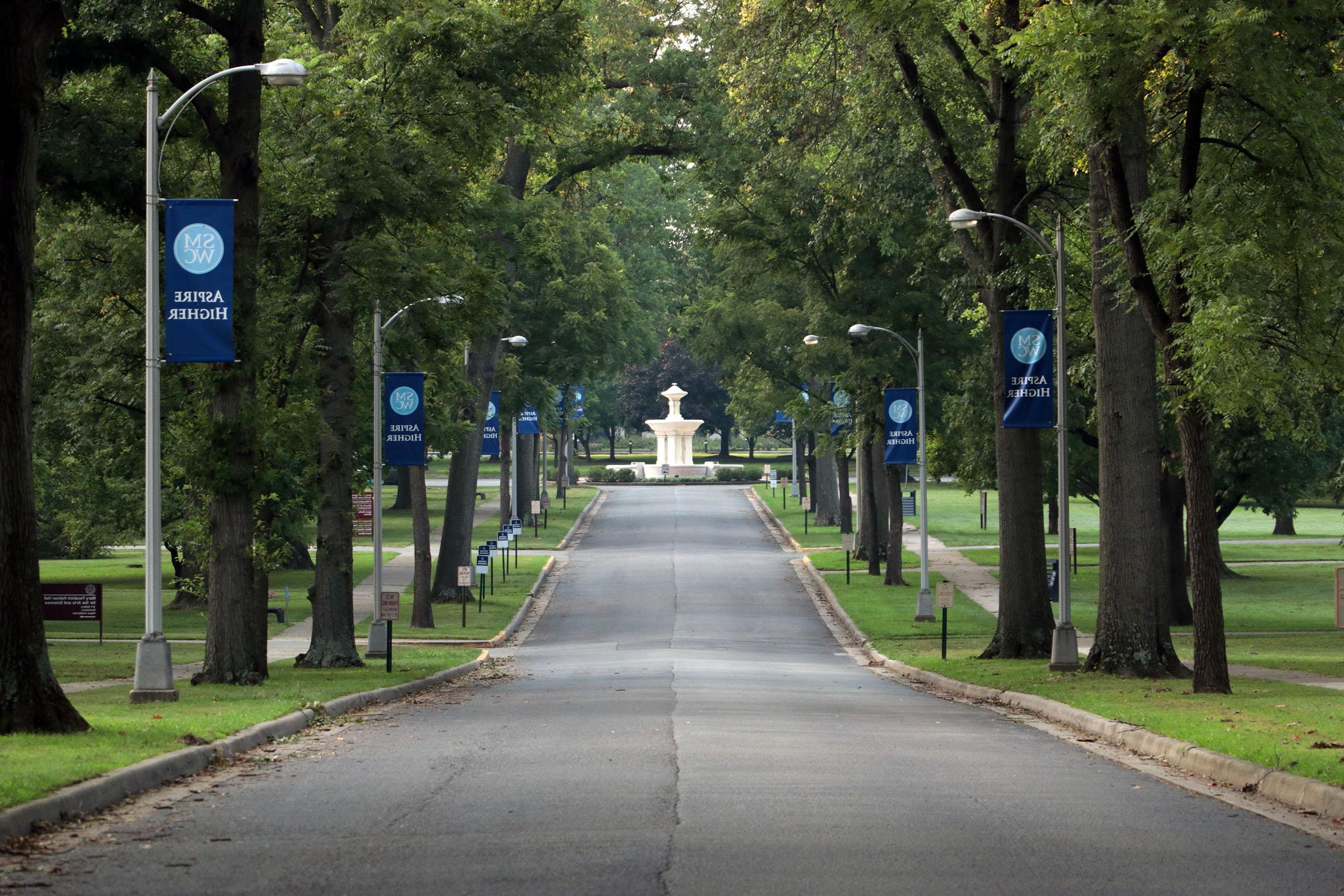 The Avenue